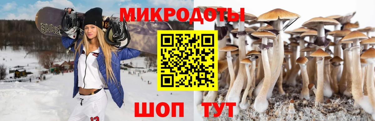 Галлюциногенные грибы мицелий Усть-Джегута