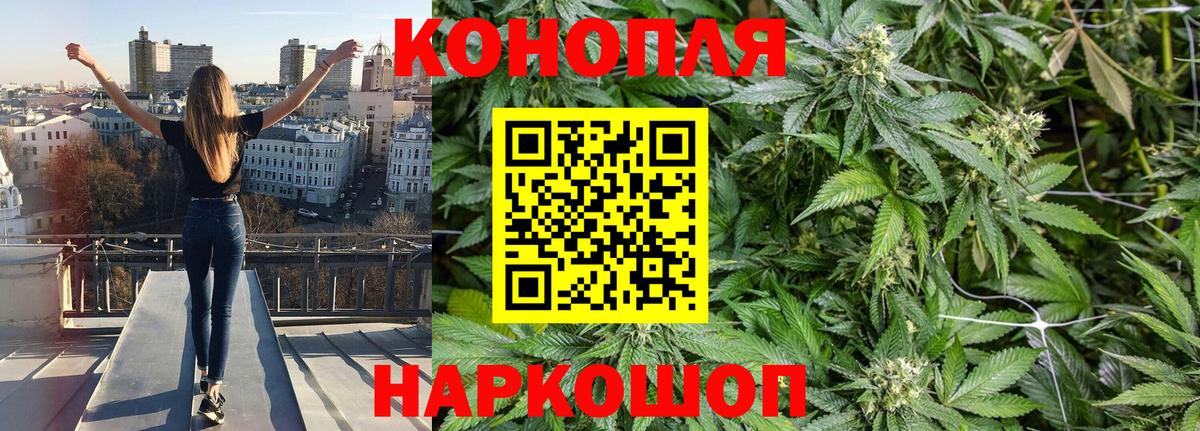 Бошки Шишки сатива  МАРИХУАНА MAZAR  Вход с VPN  Канабис VHQ  Усть-Джегута 